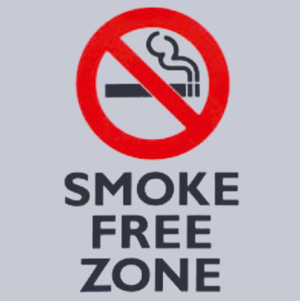 Cat friendly but Smoke free home reassurance 💕